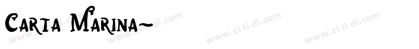 Carta Marina字体转换